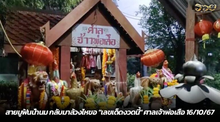 สายมูฟันน้ำนม กลับมาล้วงไหขอ "เลขเด็ดงวดนี้" ศาลเจ้าพ่อเสือ 16/10/67