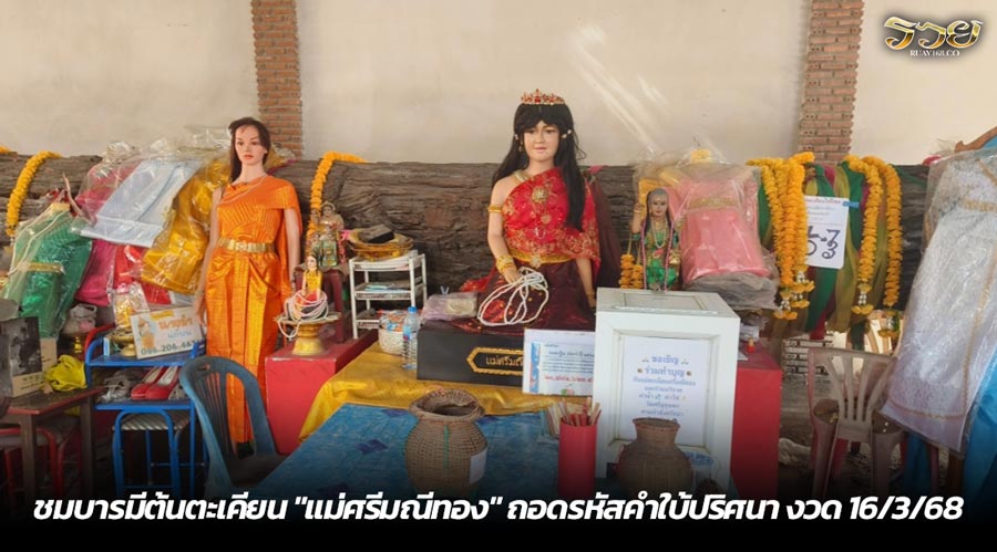 ชมบารมีต้นตะเคียน "แม่ศรีมณีทอง" ถอดรหัสคำใบ้ปริศนา งวด 16/3/68