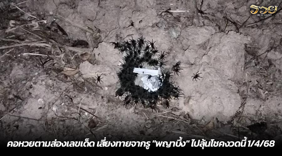 คอหวยตามส่องเลขเด็ด เสี่ยงทายจากรู "พญาบึ้ง" ไปลุ้นโชคงวดนี้ 1/4/68