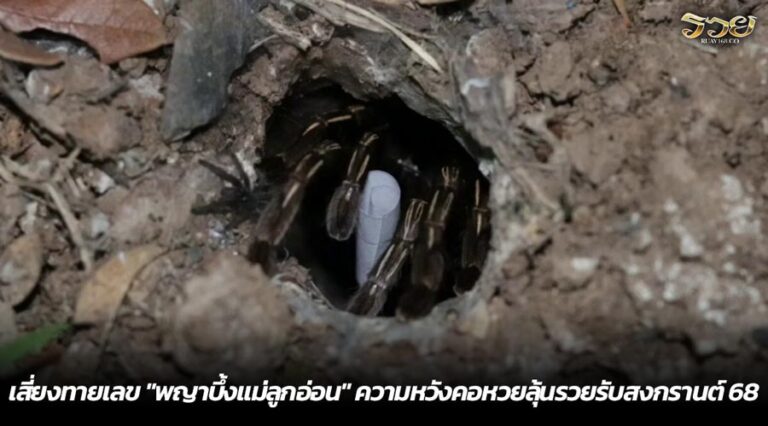 เสี่ยงทายเลข "พญาบึ้งแม่ลูกอ่อน" ความหวังคอหวยลุ้นรวยรับสงกรานต์ 68